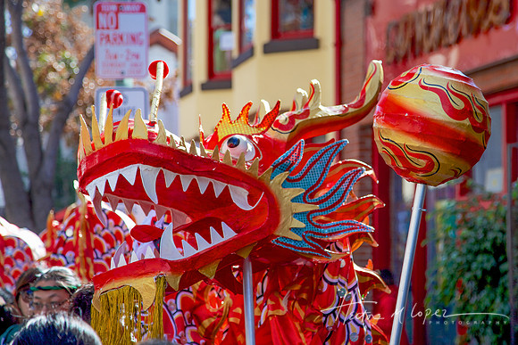 Dragon Head