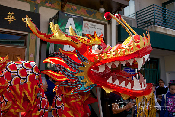 Chinese Dragon