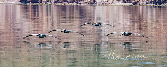 Formation Flying