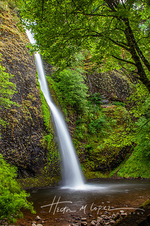 Falls in Oregon