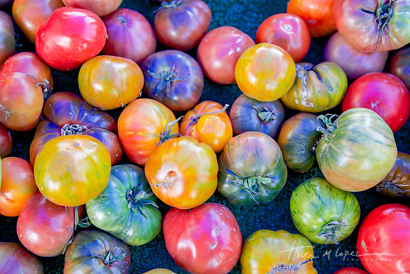 Tomatoes