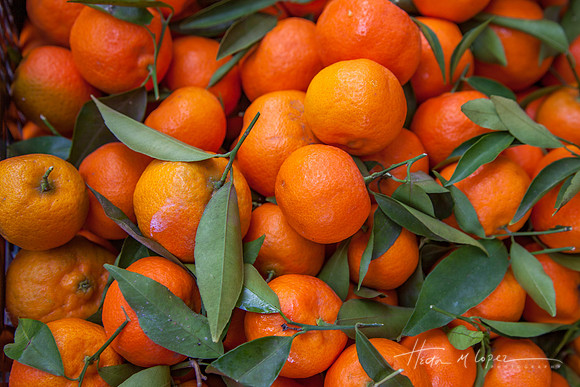 Oranges