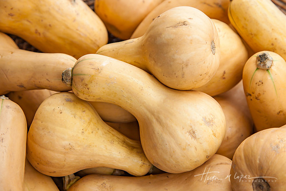 Squash