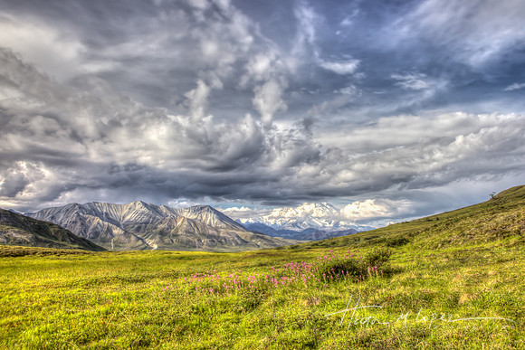 Denali Sky