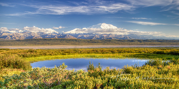 Alaska Range and Pond_