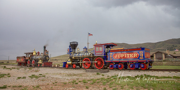 Golden Spike Trains