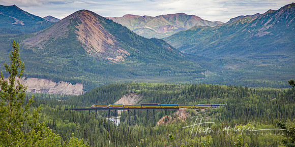 Alaska Railroad to Denali