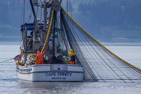Cape Trinity Valdez