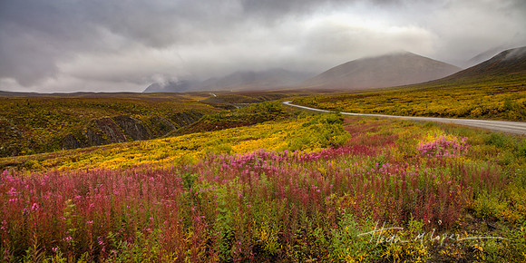 Along The Dempster Highway