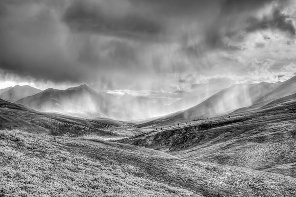 Tombstone Rain BW