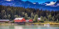 Haines Alaska Fishery