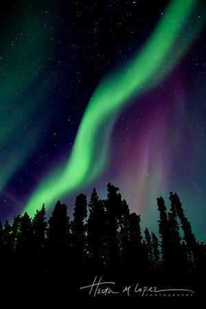 Squanga Lake Yukon Aurora 3
