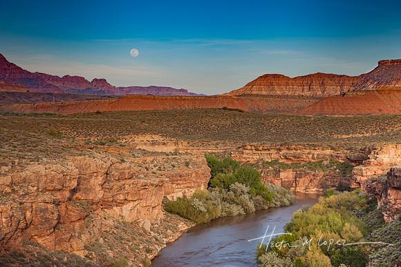 Full Moon Over Zion