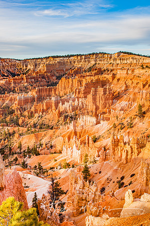 Bryce Canyon Morning