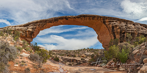 Natural Bridges Arch