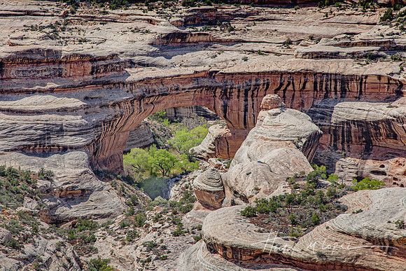 Natural Bridge in Spring
