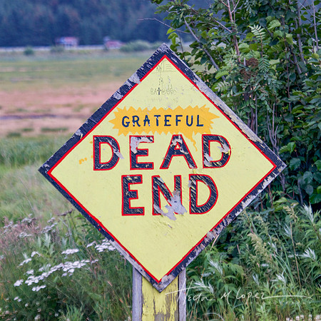Grateful Dead End
