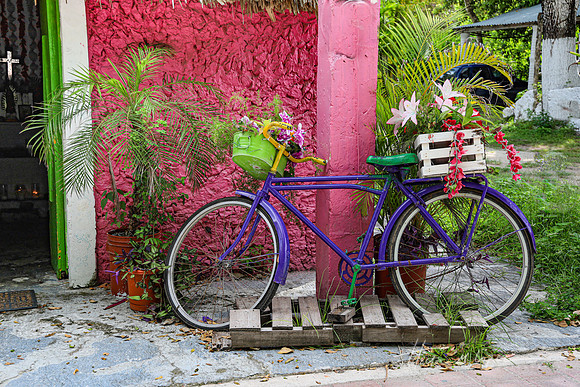 Bici