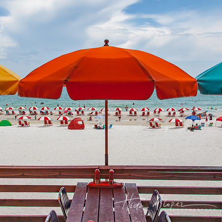Beach Umbrella