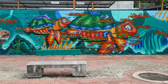 Cozumel Turtle Mural