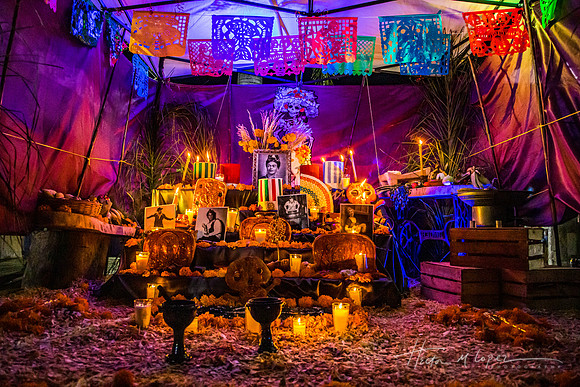 Day of the Dead Altar