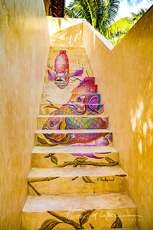 Fish Stairs