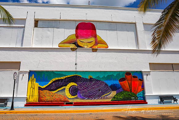Fishing Cozumel