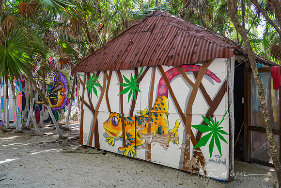 Gecko Hut