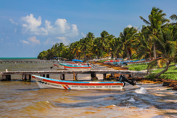 Punta Allen Fleet