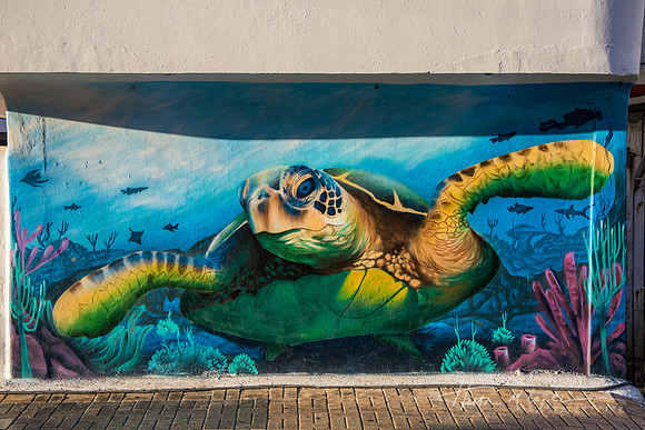 Sea Turtle Mural Isla