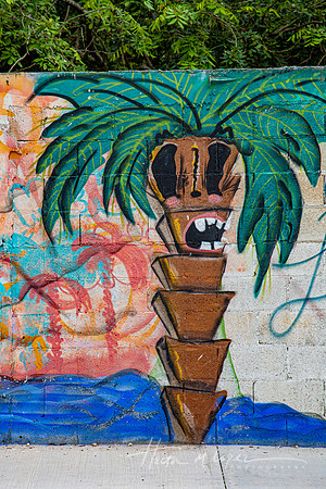 Tiki Palm