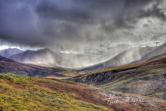 Tombstone Rain