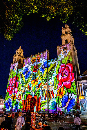 Cathedral de Merida