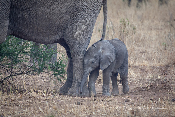 Little One 2