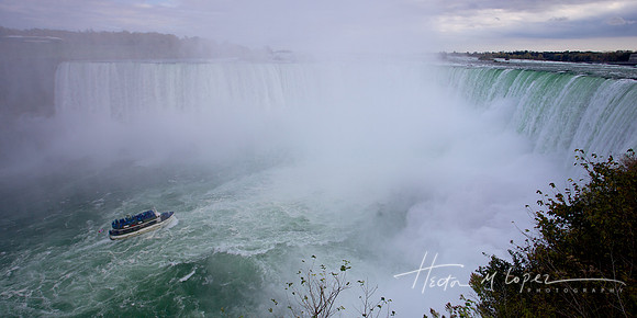 Into the Mist
