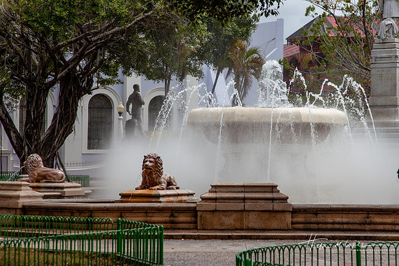 Ponce-3