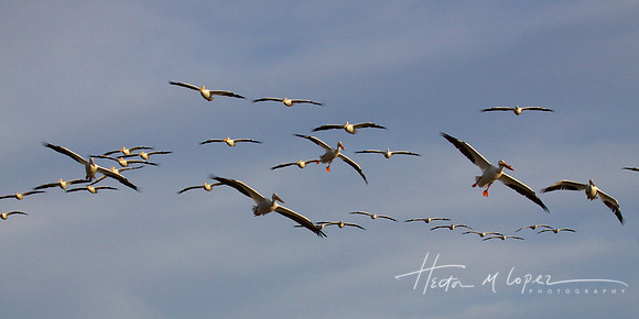 Final Approach
