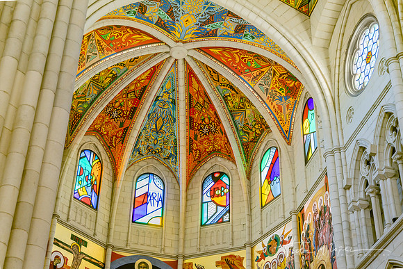 Santa Maria la Real Ceiling