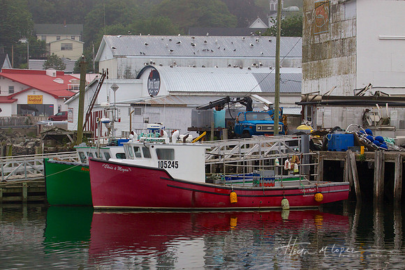 Digby Seafood