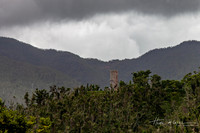 Elyunque-13