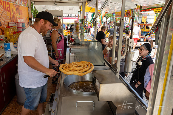 Corpus (33 of 33)