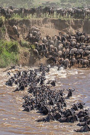 Crossing the Mara 2