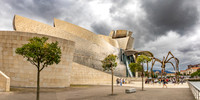 Guggenheim Riverfront