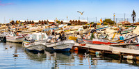 Olhao Fleet