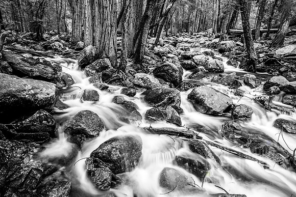 Yosemite stream