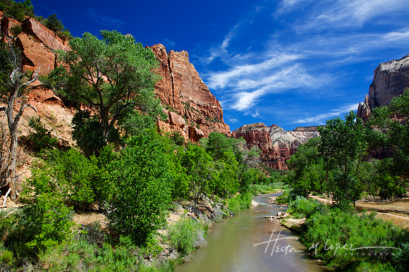 Zion Stream