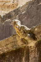 Convent of Christ Waterspout