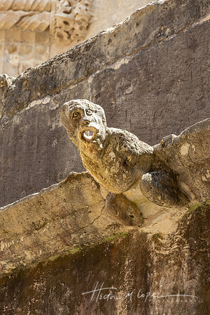 Convent of Christ Waterspout
