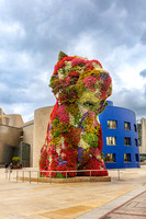 Guggenheim Puppy