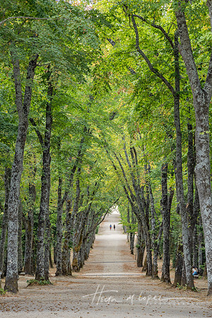 La Granja de San Idelfonso